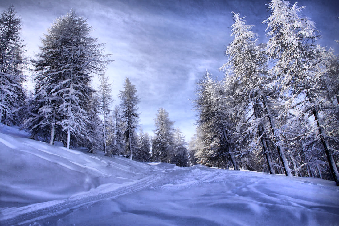 photo "winter's Tale" tags: nature, landscape, Europe, forest, mountains, winter