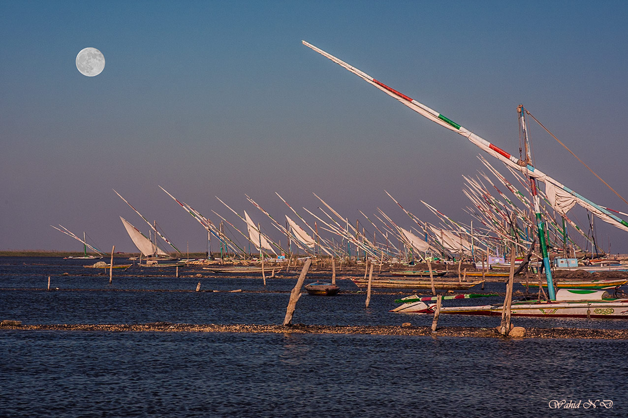 photo "Masts pointers" tags: landscape, travel, reporting, Africa, water
