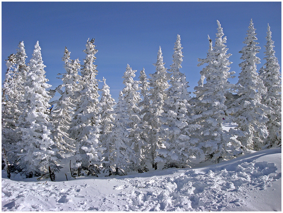 photo "***" tags: landscape, nature, Asia, Russia, forest, mountains, winter, сибирь, туризм