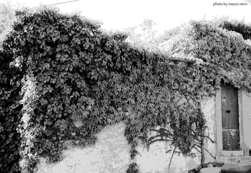 photo "the wall" tags: street, 