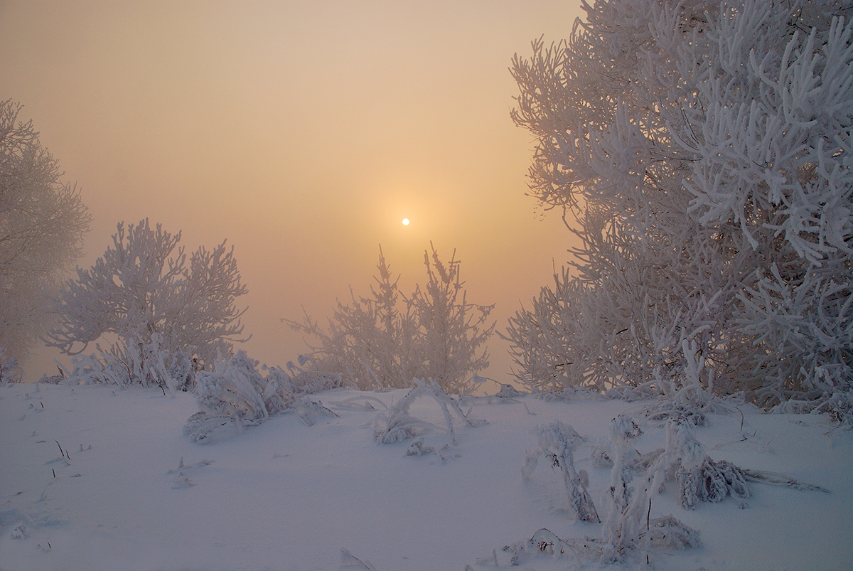 photo "***" tags: landscape, fog, hoarfrost, winter