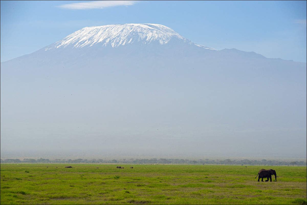 фото "Про большую гору и маленького слона" метки: пейзаж, путешествия, Килиманджаро, саванна, слон
