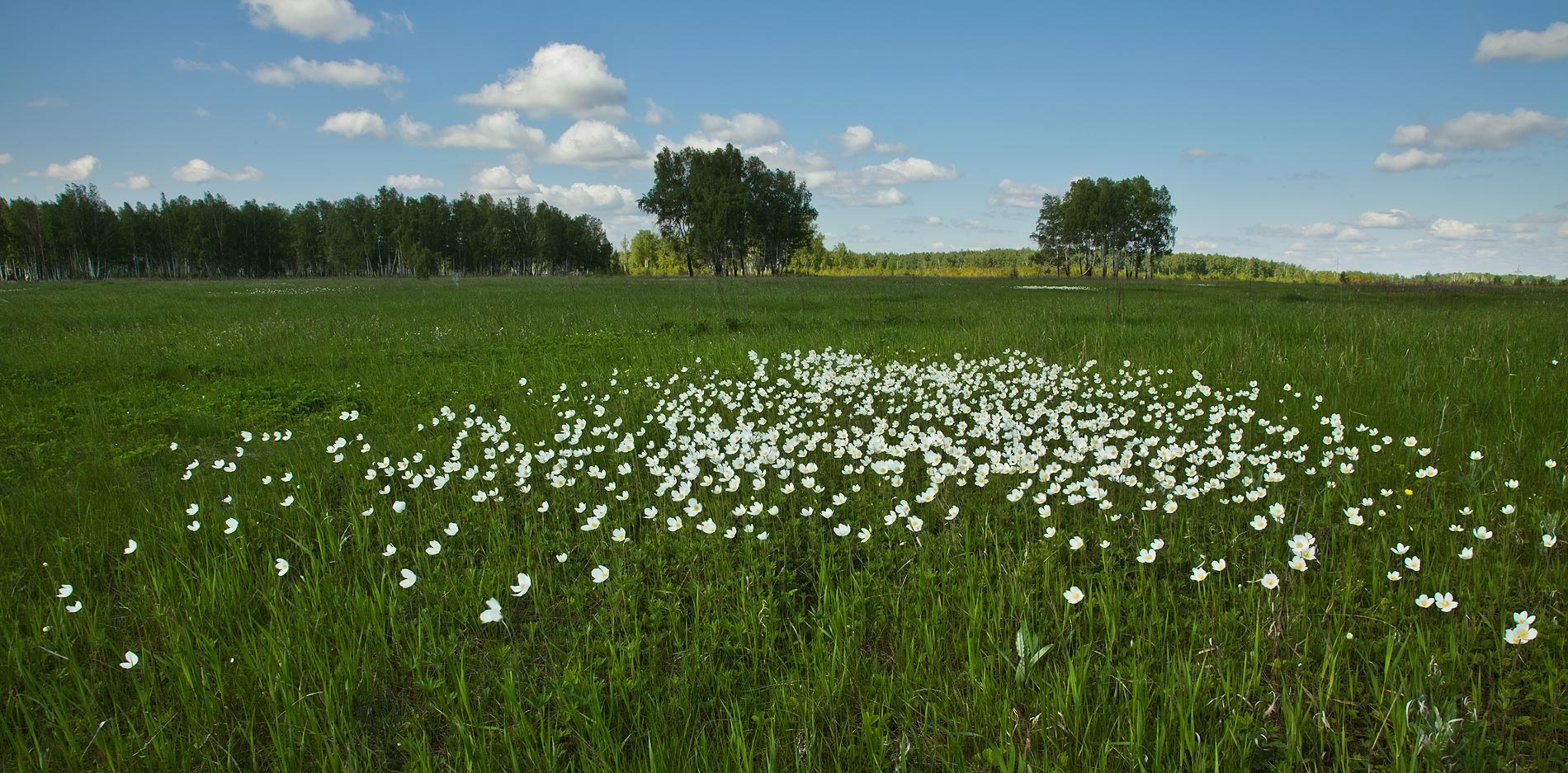 photo "***" tags: landscape, 
