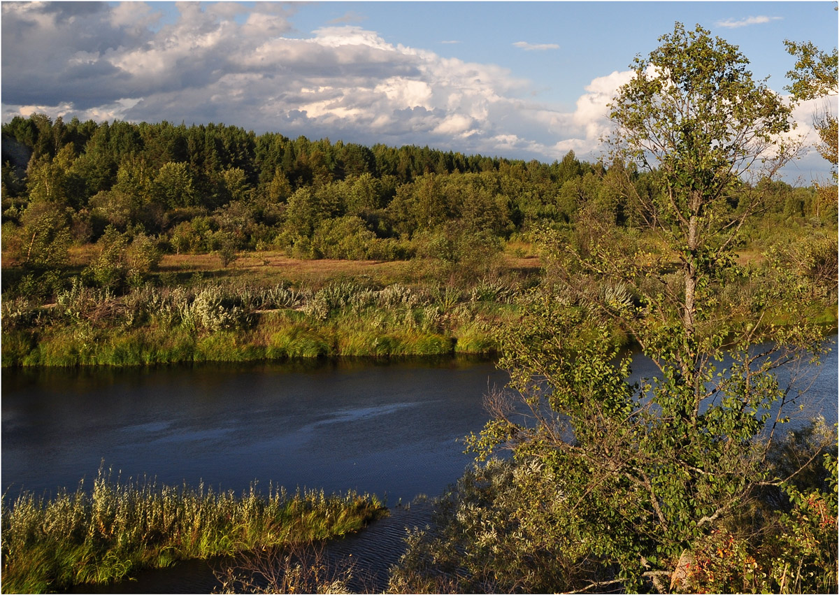 photo "***" tags: landscape, clouds, forest, river, summer