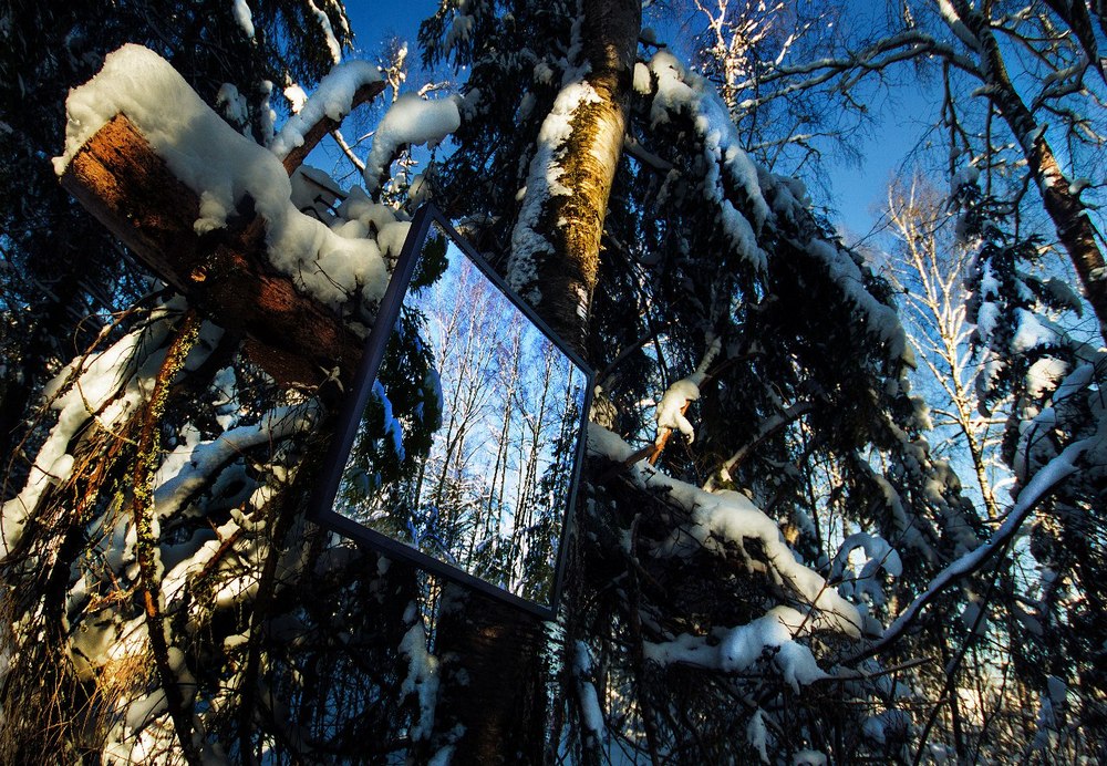 фото "зеркальный лес" метки: пейзаж, абстракция, разное, зеркала, капитонова, лес, область, фото