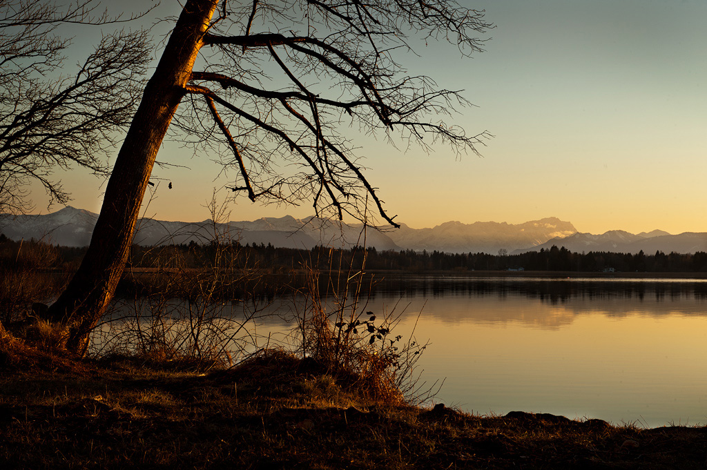 фото "Starnberger See" метки: пейзаж, природа, Starnberger See, tree, вода