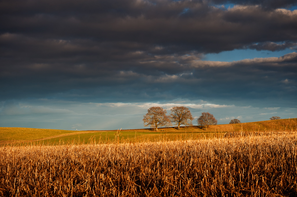 photo "Sunset" tags: landscape, nature, sunset