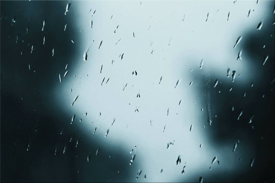 фото "Weather Or Not" метки: макро и крупный план, абстракция, 
