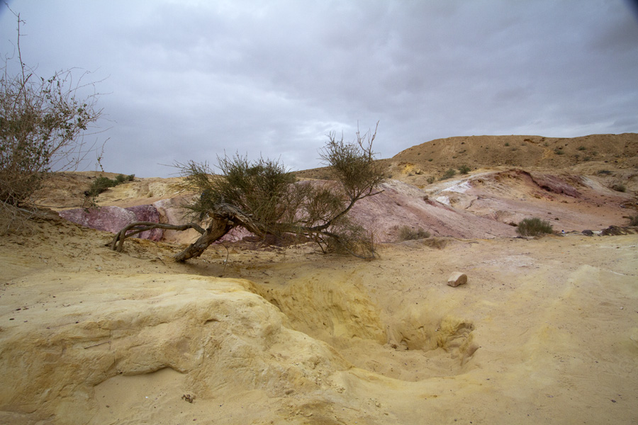 photo "***" tags: landscape, desert, пески