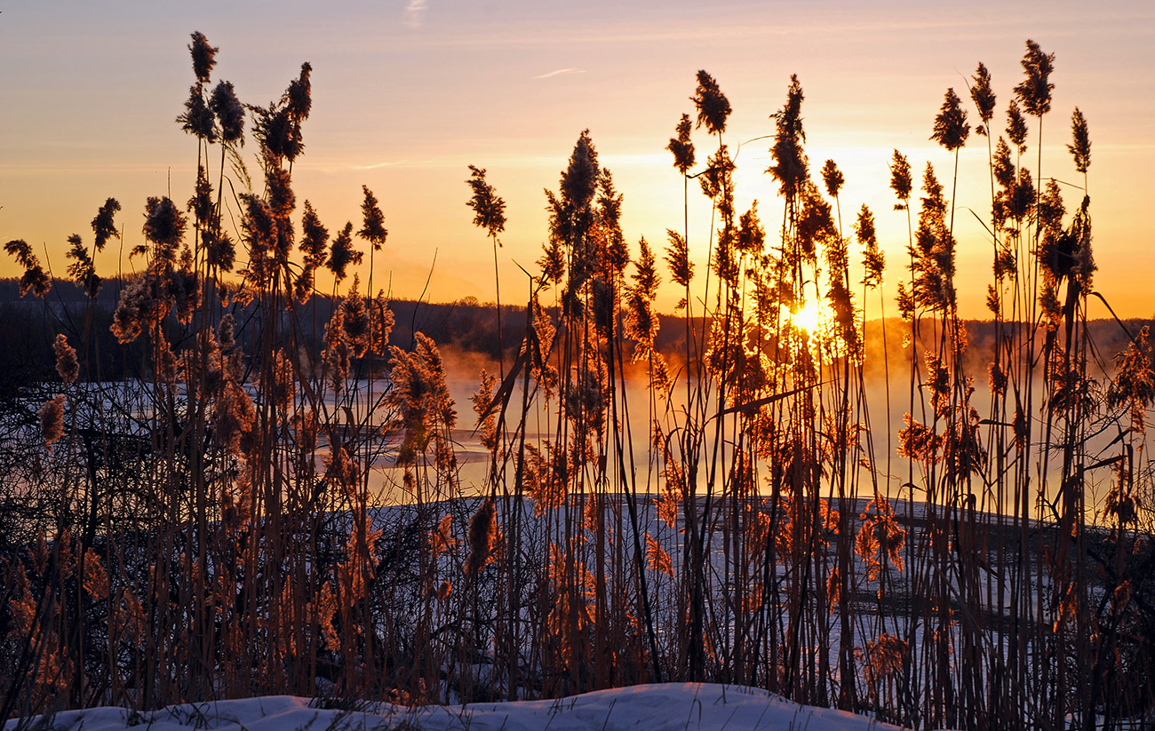 photo "***" tags: landscape, river, солнце.