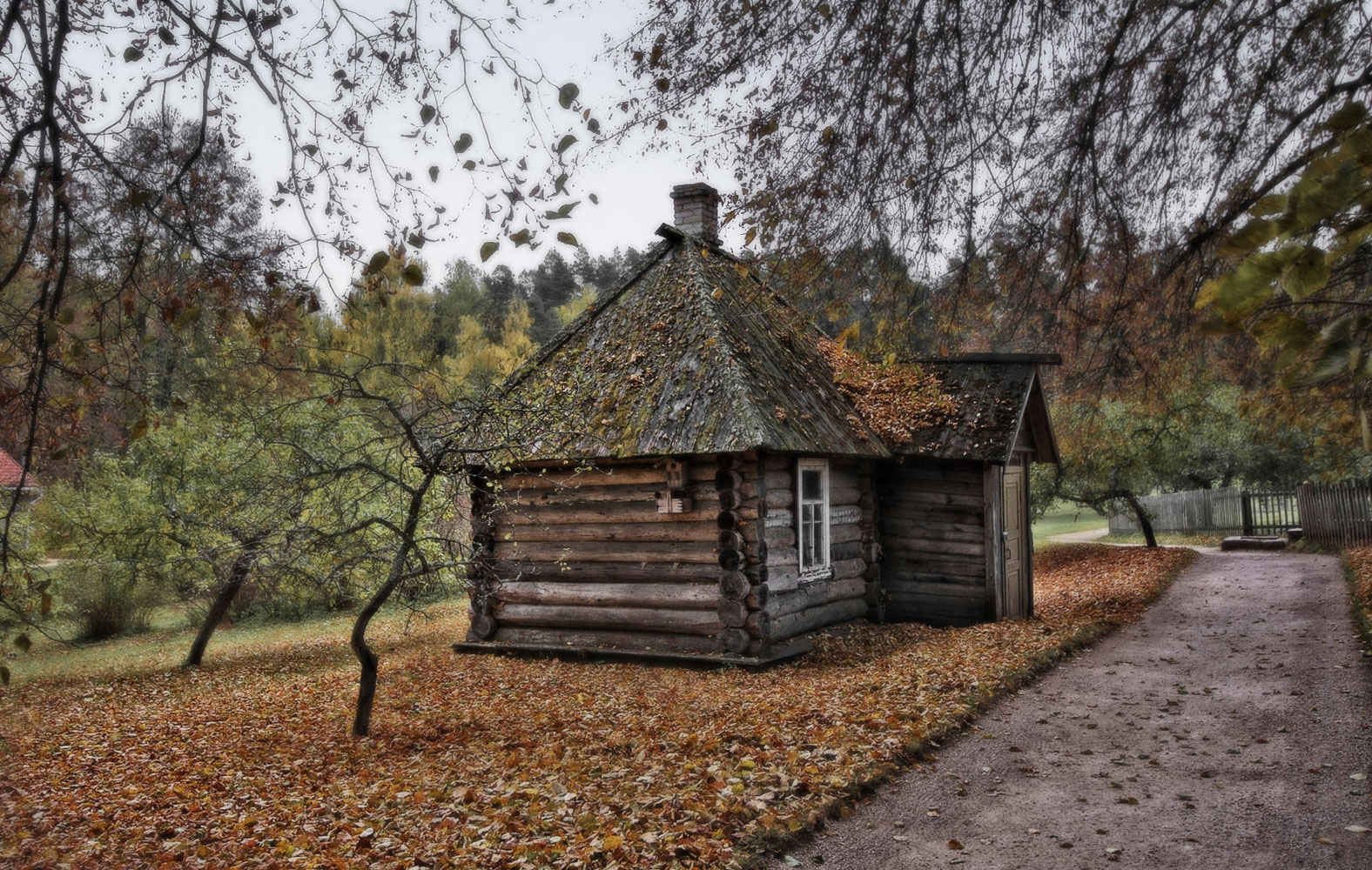 фото "***" метки: пейзаж, осень, пушгоры