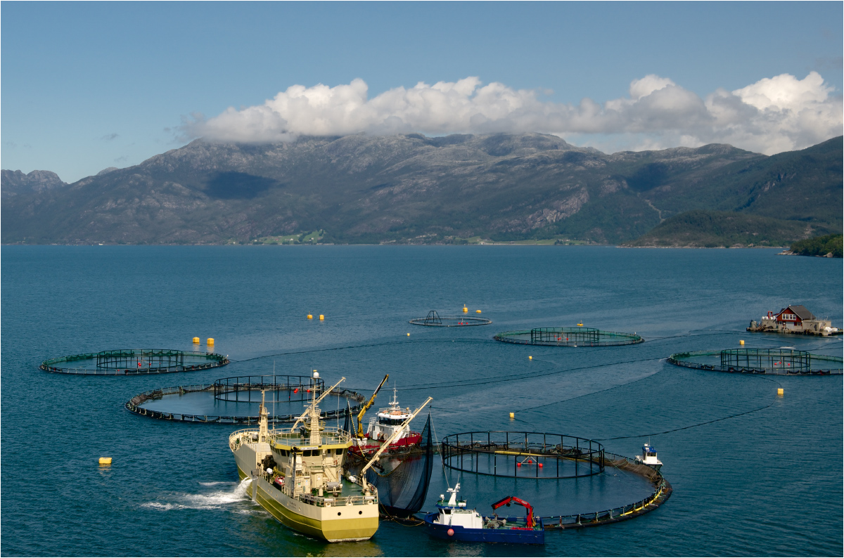 photo "How to raise salmon" tags: landscape, travel, reporting, mountains, ship, рыбзавод, садки, фьорд