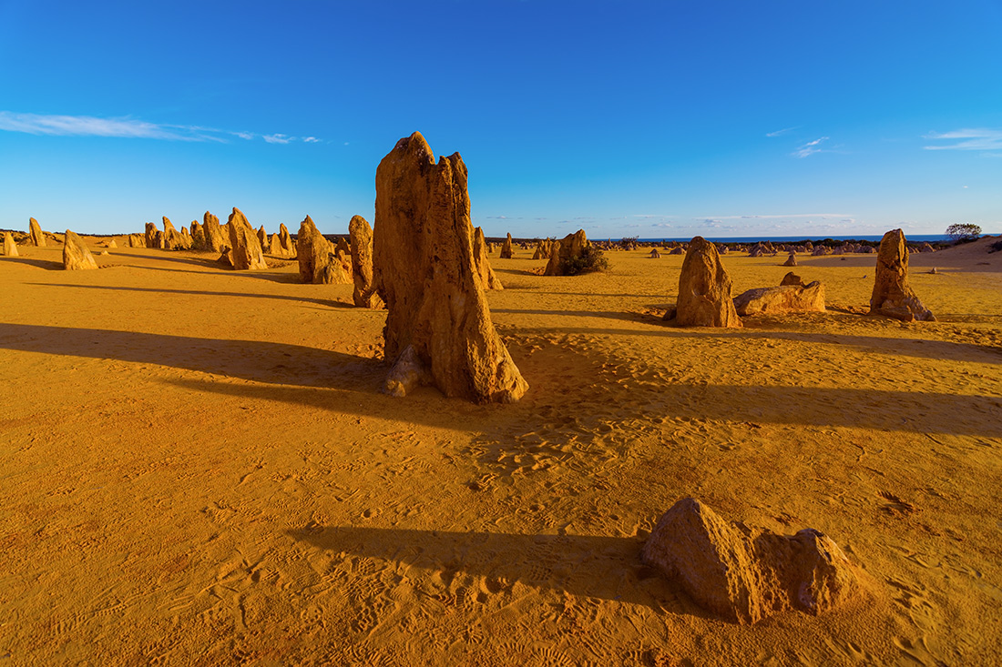 фото "Парад в пустыне" метки: пейзаж, природа, Sand, desert, pinnacles, закат, небо, скалы