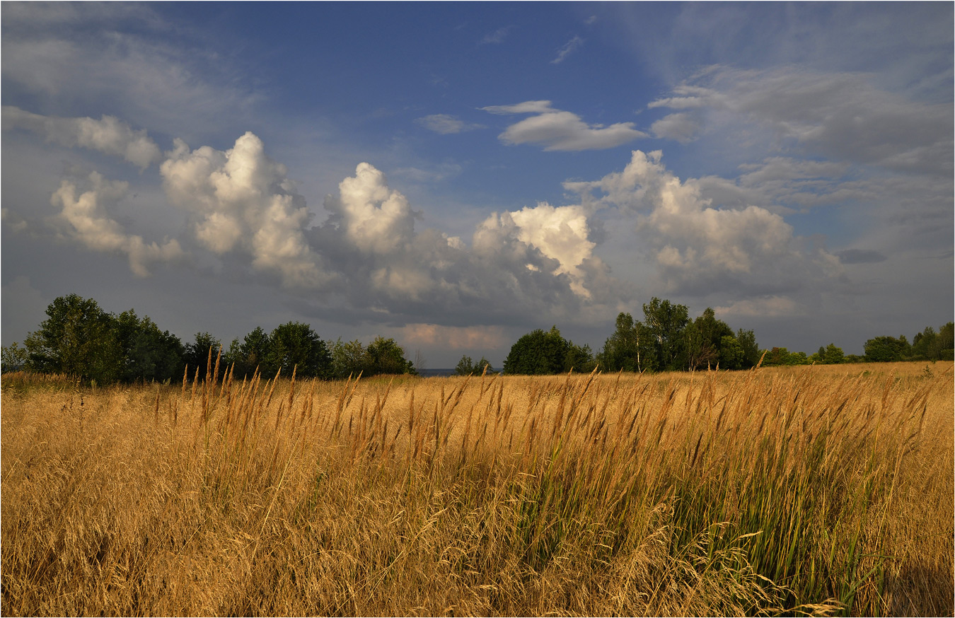 photo "***" tags: landscape, clouds, grass, sky, summer, луга