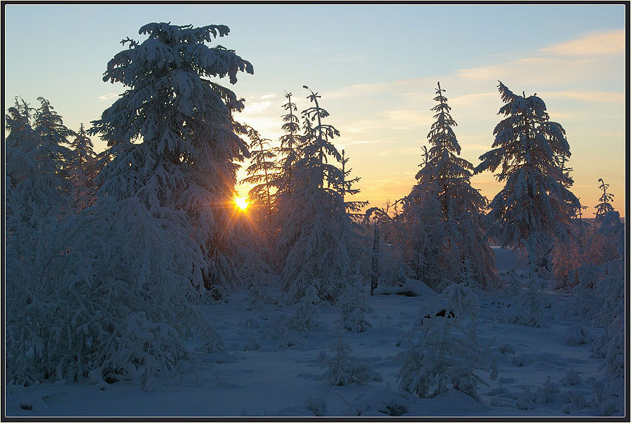 фото "Зимний вечер" метки: пейзаж, Якутия, закат, зима, мороз, север, тайга
