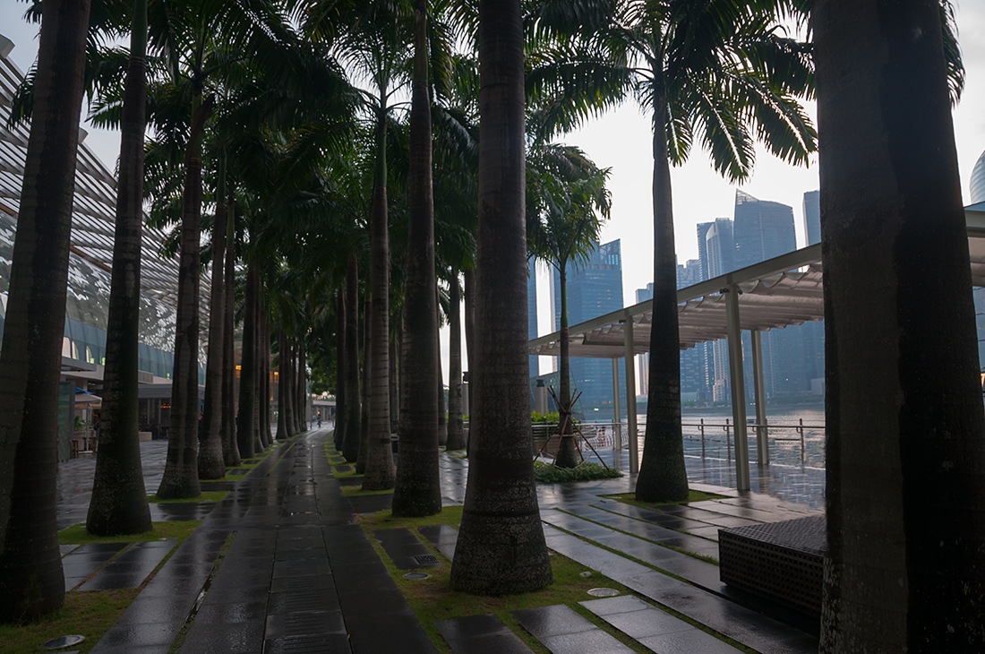 photo "***" tags: city, landscape, Singapore, buildings, city, palm trees, rain, river, travel, water