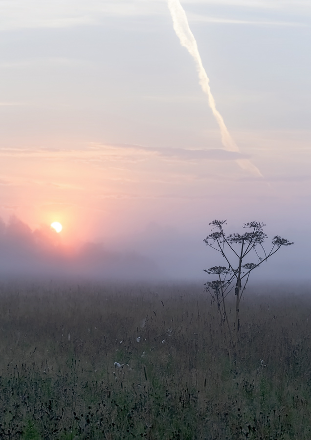 photo "***" tags: landscape, nature, fog, sunrise, тишина