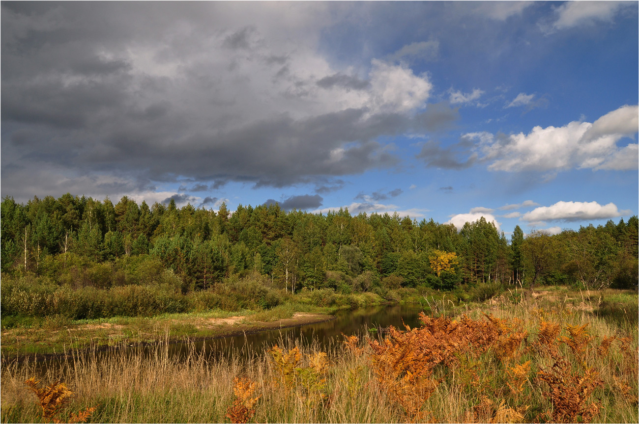photo "***" tags: landscape, travel, clouds, forest, grass, river, summer