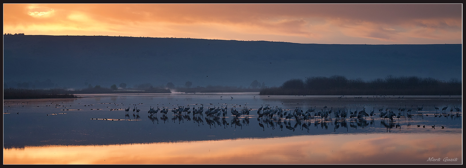 фото "Пробуждение" метки: природа, 