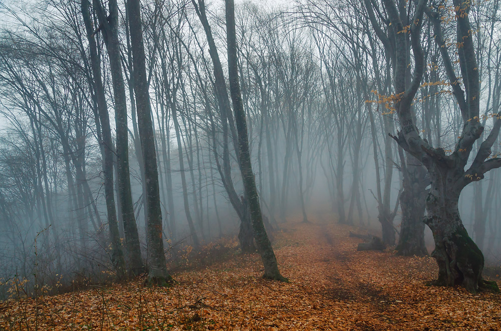 photo "***" tags: landscape, 