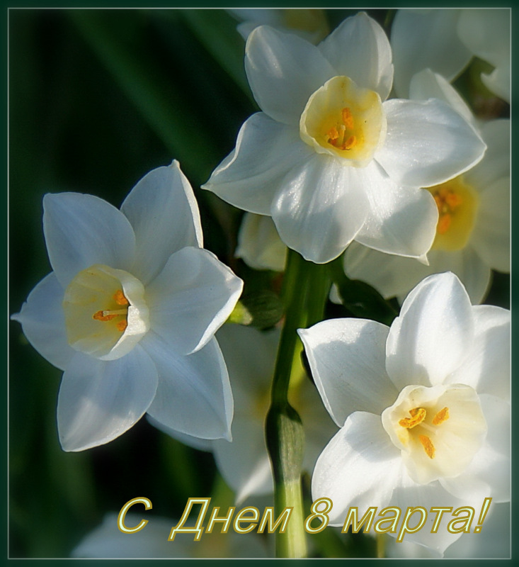 photo "***" tags: , 