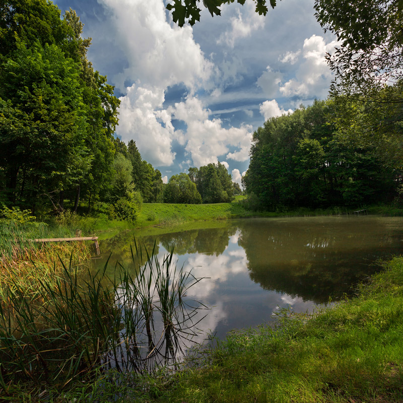 photo "***" tags: landscape, summer, Болотово