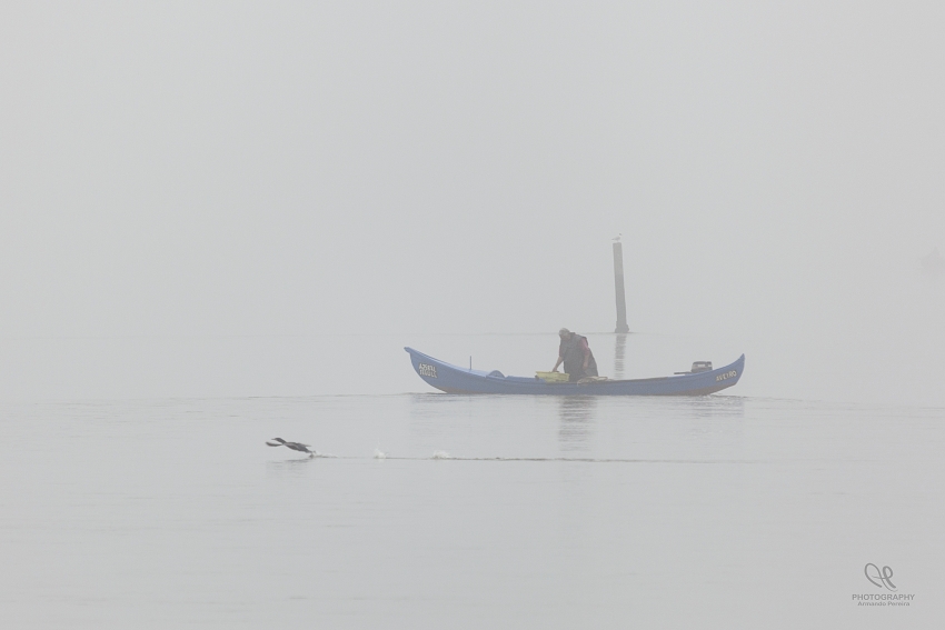 photo "O Barco" tags: nature, 