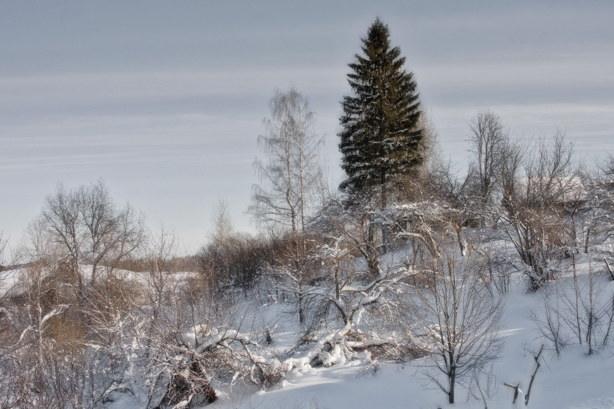 photo "***" tags: landscape, winter, зарисовка
