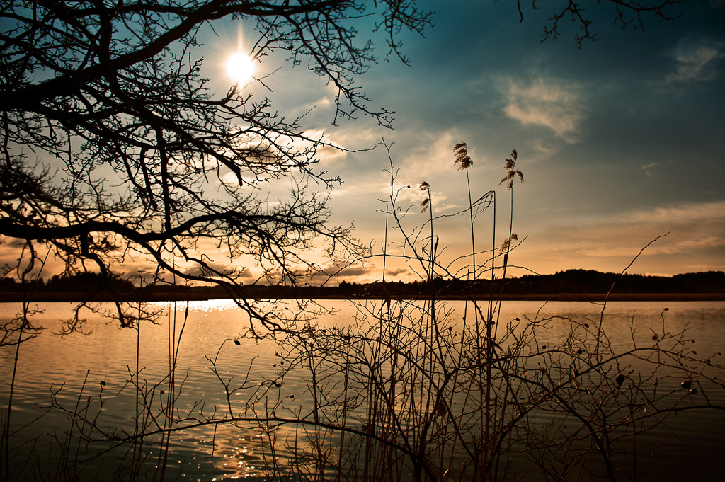 photo "Maisinger See/Bavaria" tags: landscape, 