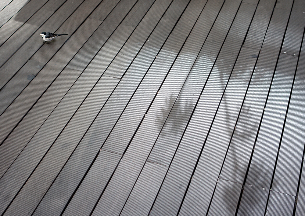 photo "***" tags: city, 