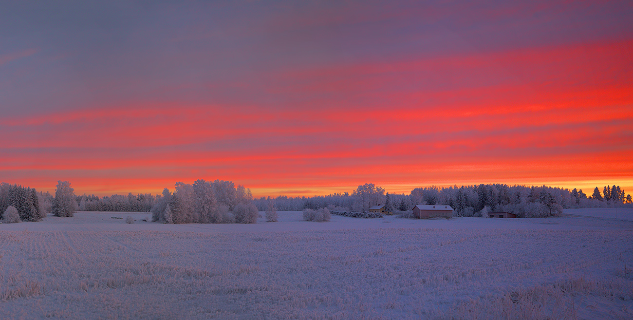 photo "Winter pink sunset" tags: landscape, nature, 