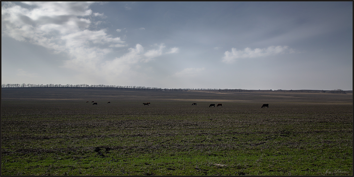 photo "***" tags: landscape, 