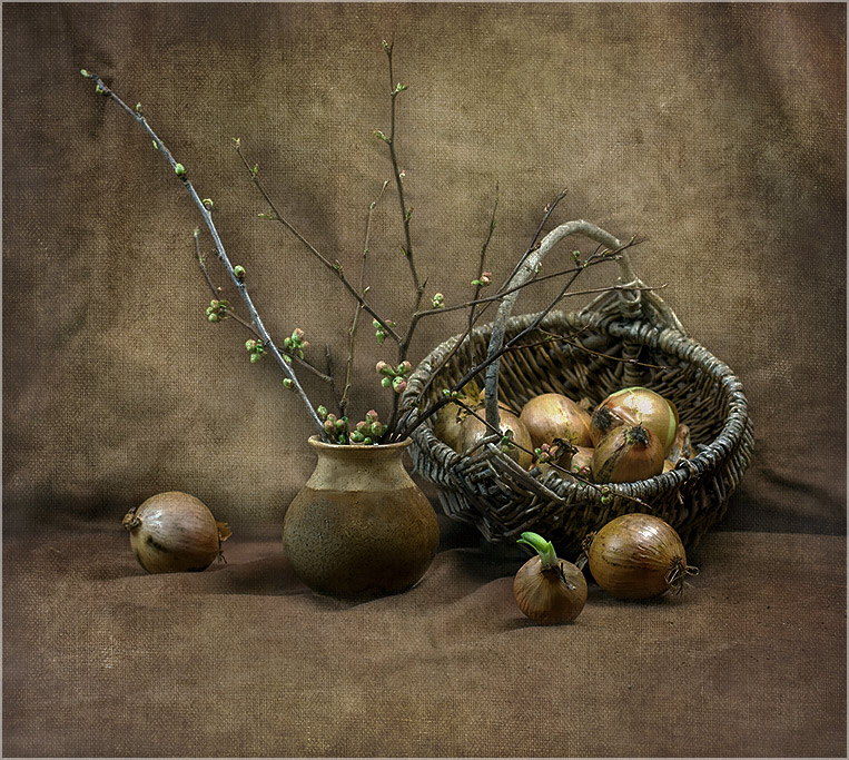 фото "Ранневесенний натюрморт" метки: натюрморт, foto liubos, still life