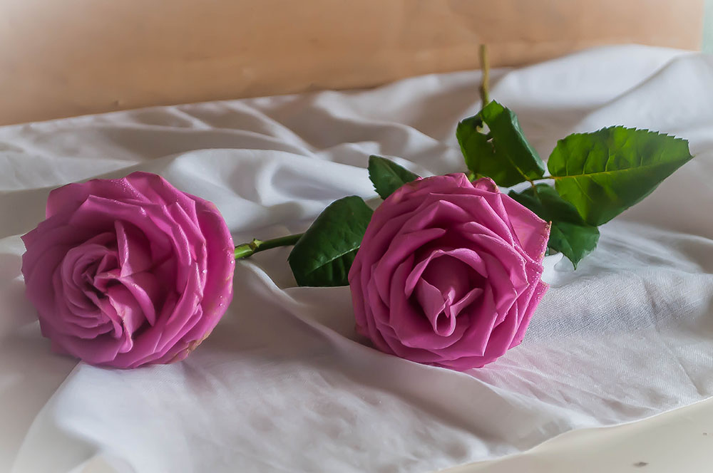 photo "***" tags: still life, 