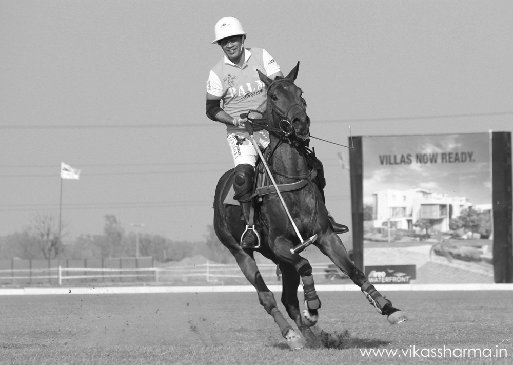 photo "polo" tags: sport, 