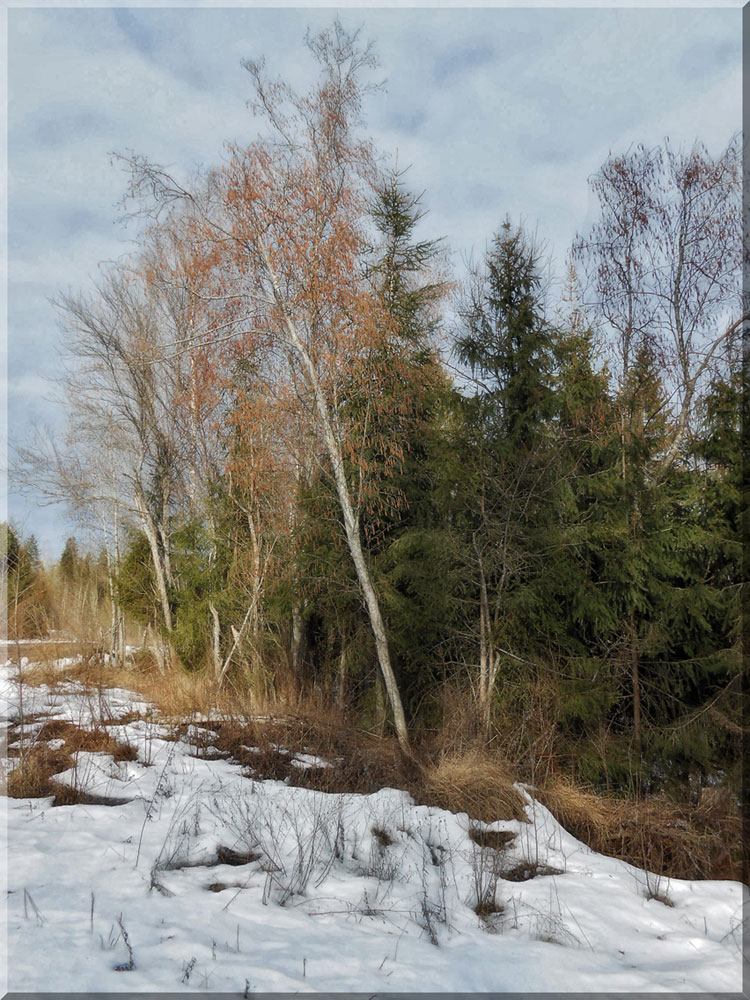 photo "***" tags: landscape, spring, зарисовка