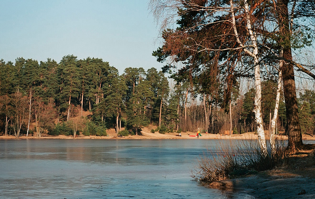 photo "***" tags: landscape, spring, water, деревья