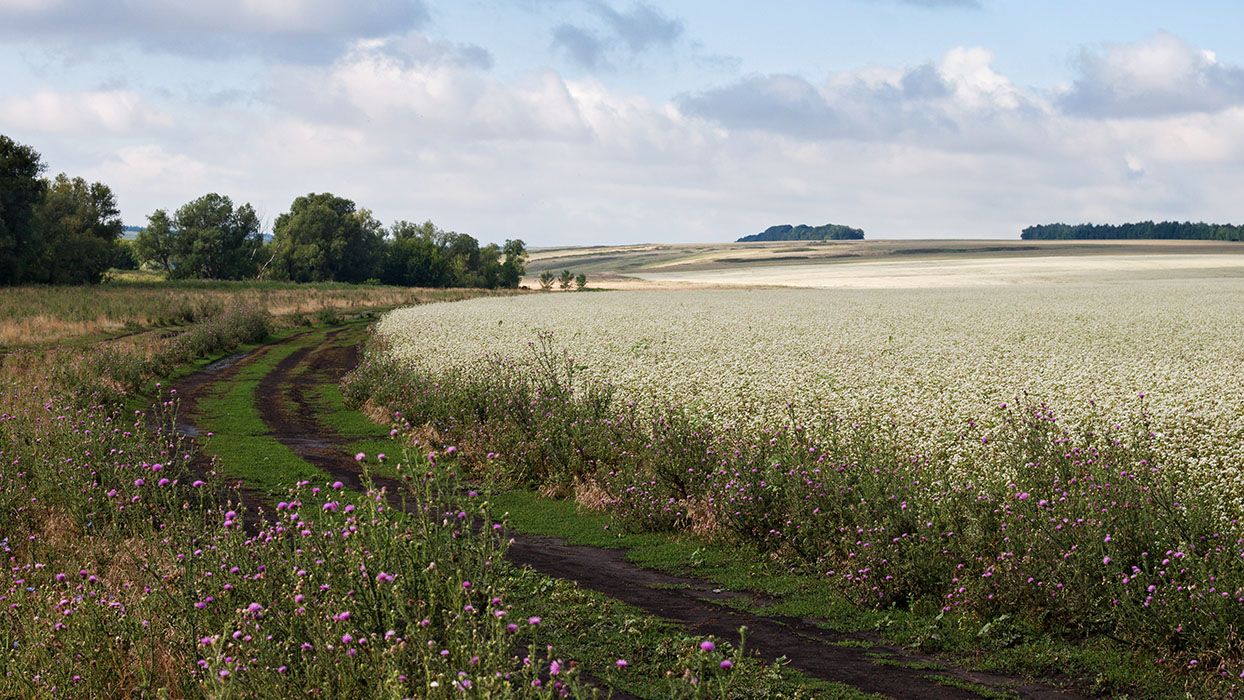 photo "***" tags: nature, landscape, 