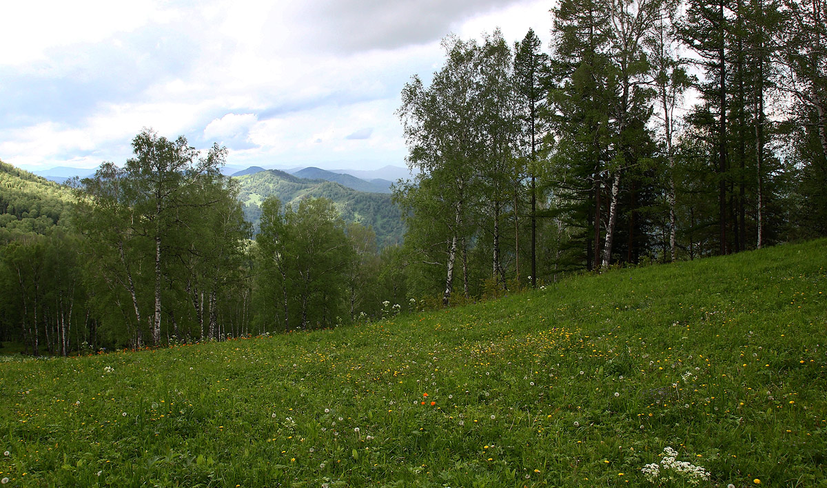 фото "Алтайские зарисовки" метки: пейзаж, 