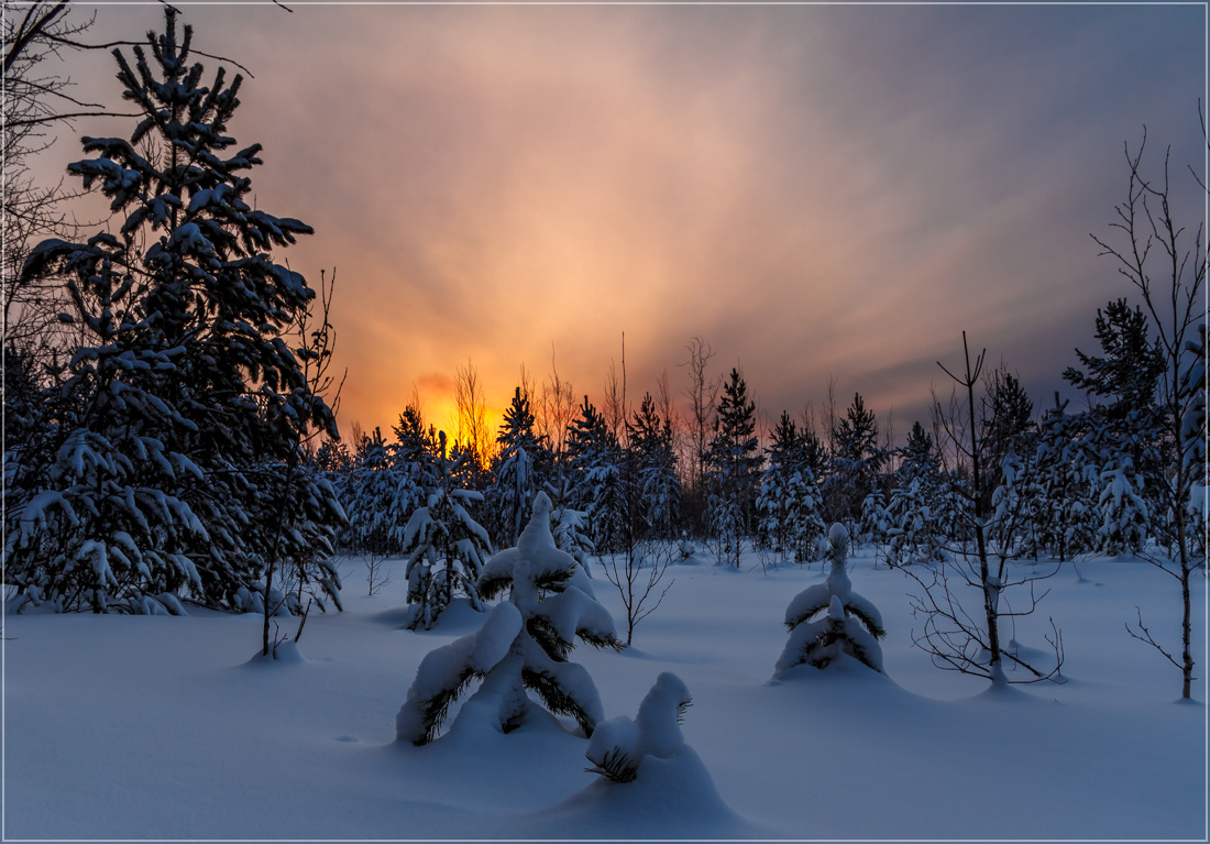 photo "***" tags: landscape, nature, forest, sunrise, winter
