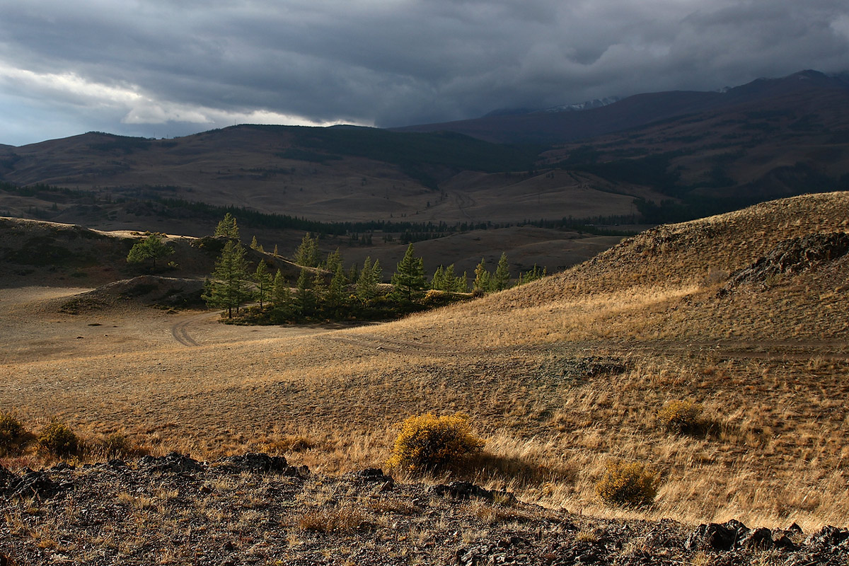 фото "Алтайские зарисовки" метки: пейзаж, 