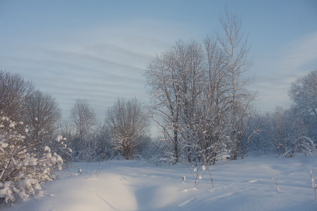 фото "Очарование января" метки: пейзаж, зарисовка, зима, снег