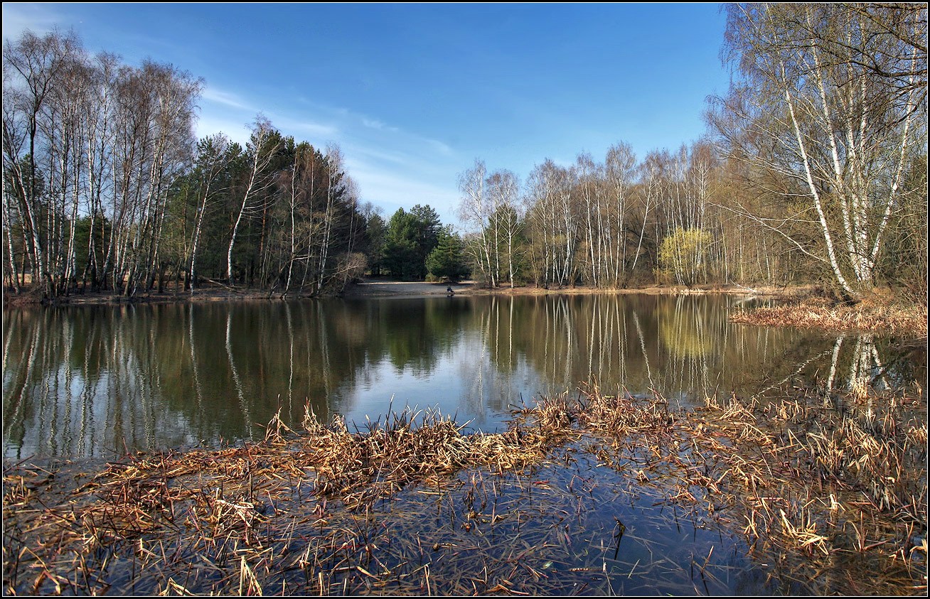 photo "Spring" tags: landscape, nature, 