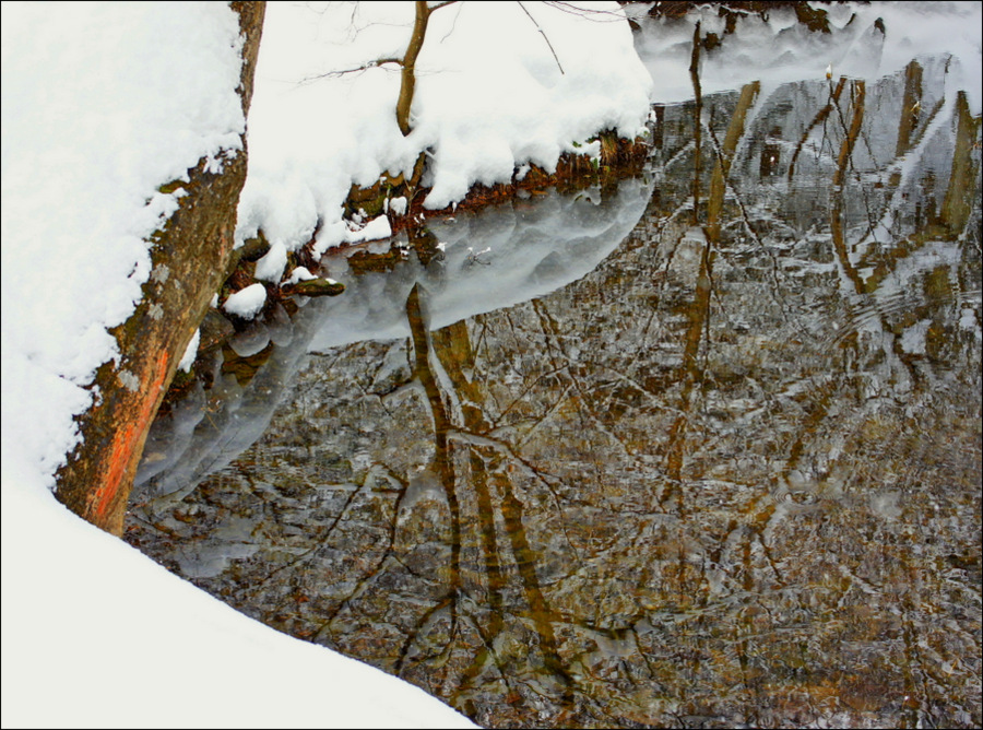 photo "***" tags: nature, 