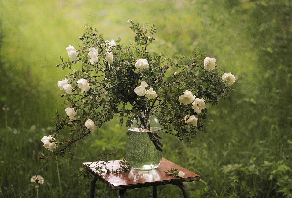 photo "***" tags: still life, 