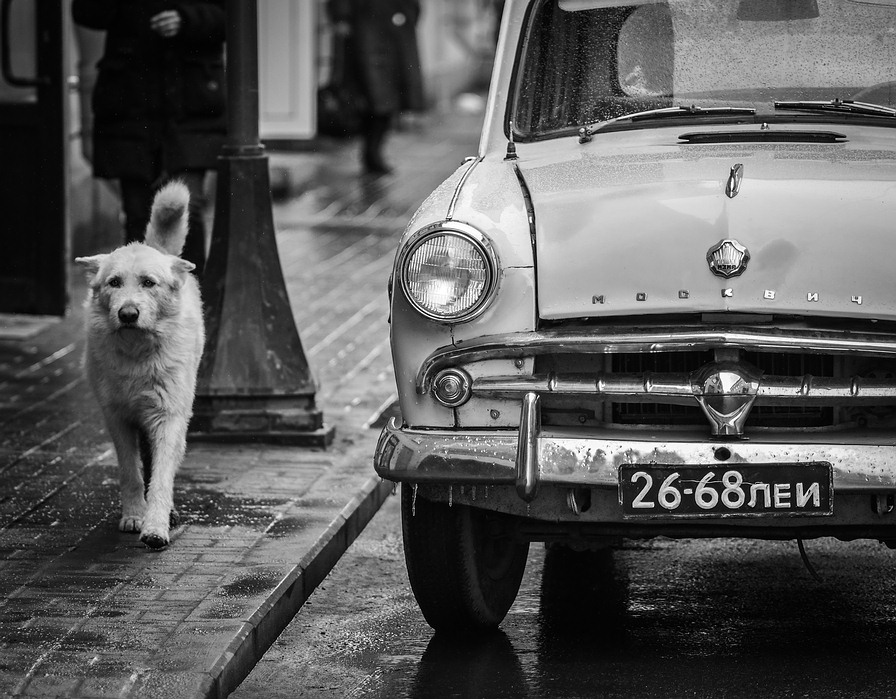 photo "***" tags: street, black&white, city, 