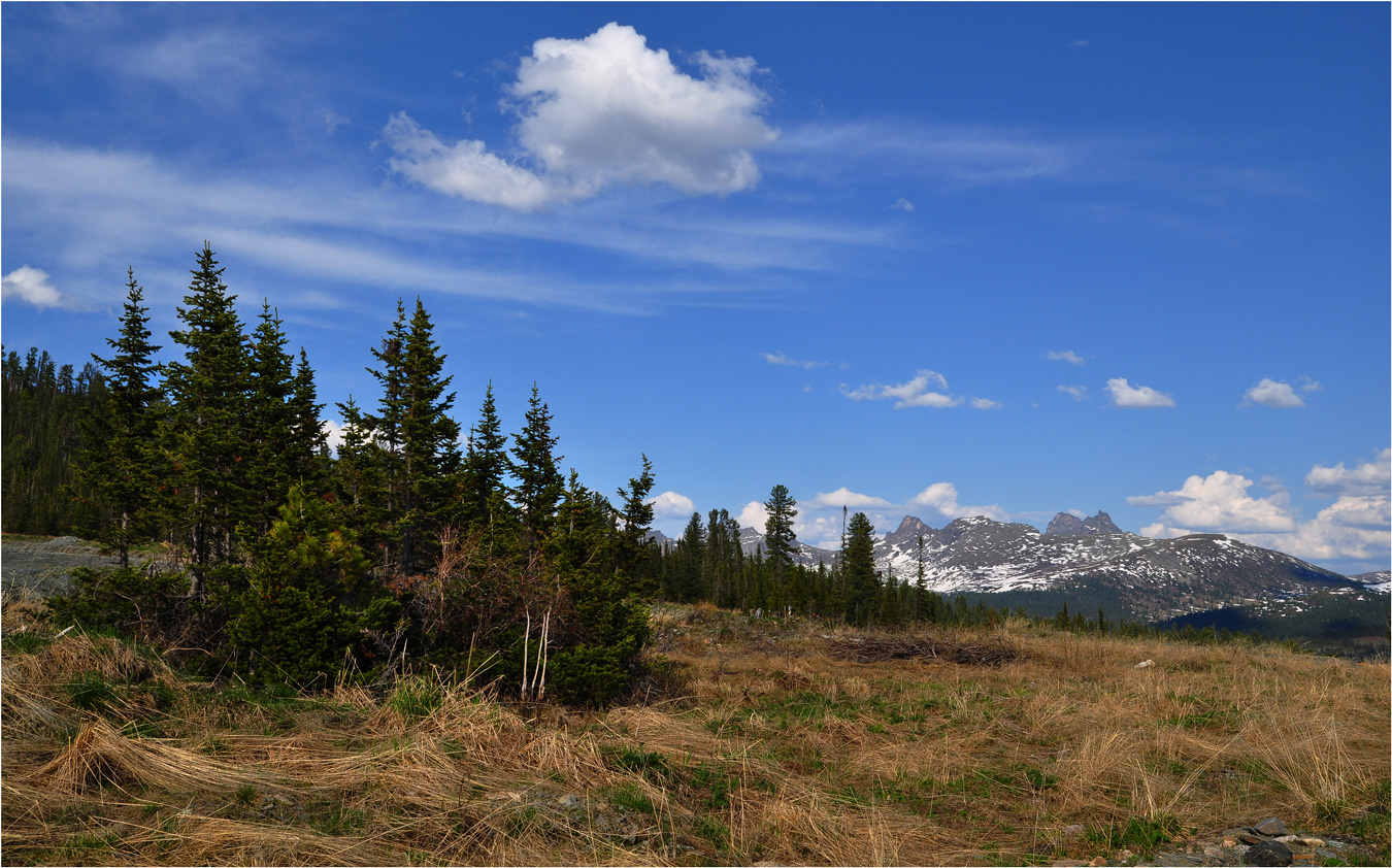 photo "***" tags: landscape, mountains, spring, Хакасия