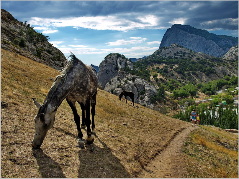 photo "***" tags: landscape, travel, nature, Crimea, mountains, sea, summer