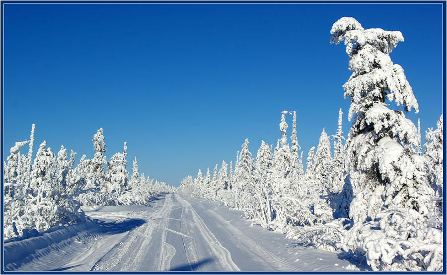 photo "***" tags: landscape, дорога зима мороз Якутия