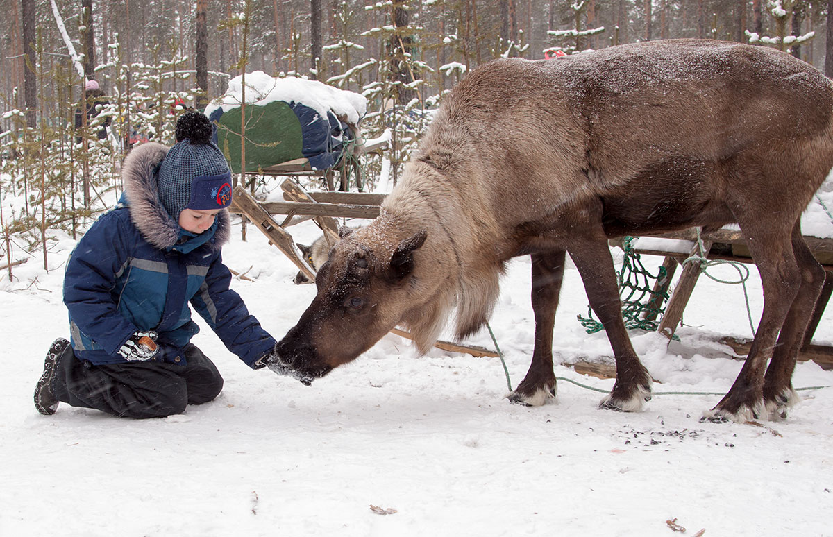 photo "***" tags: travel, nature, children, олени, отдых, путешествие, стойбище